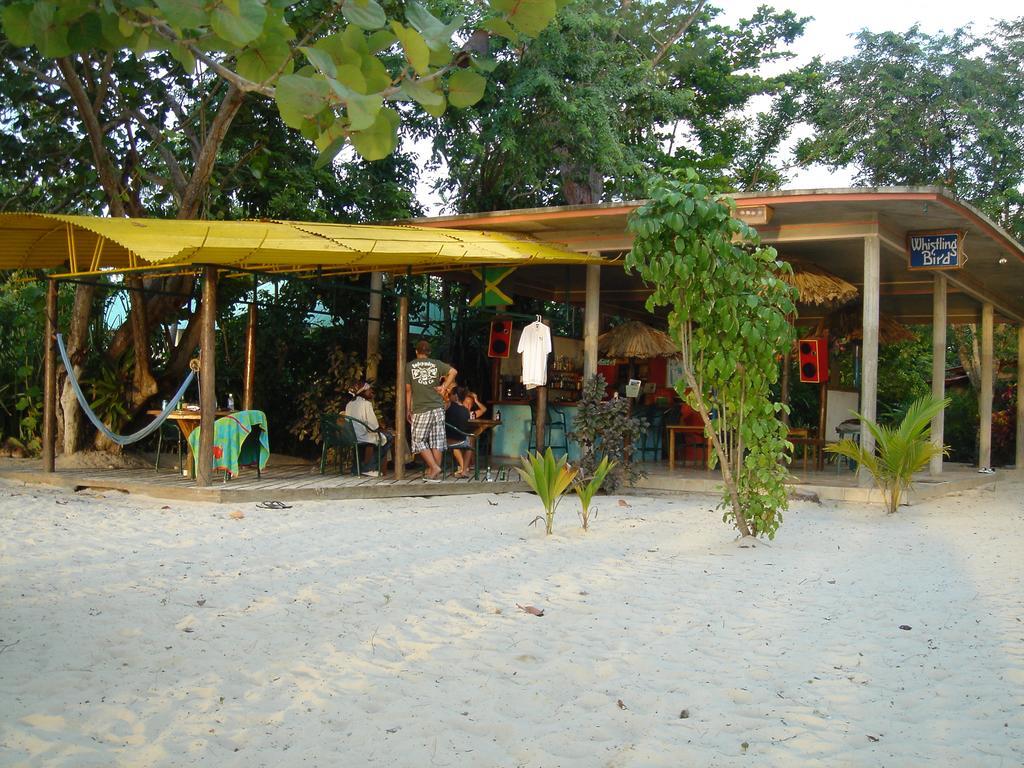 Whistling Bird Hotell Negril Exteriör bild