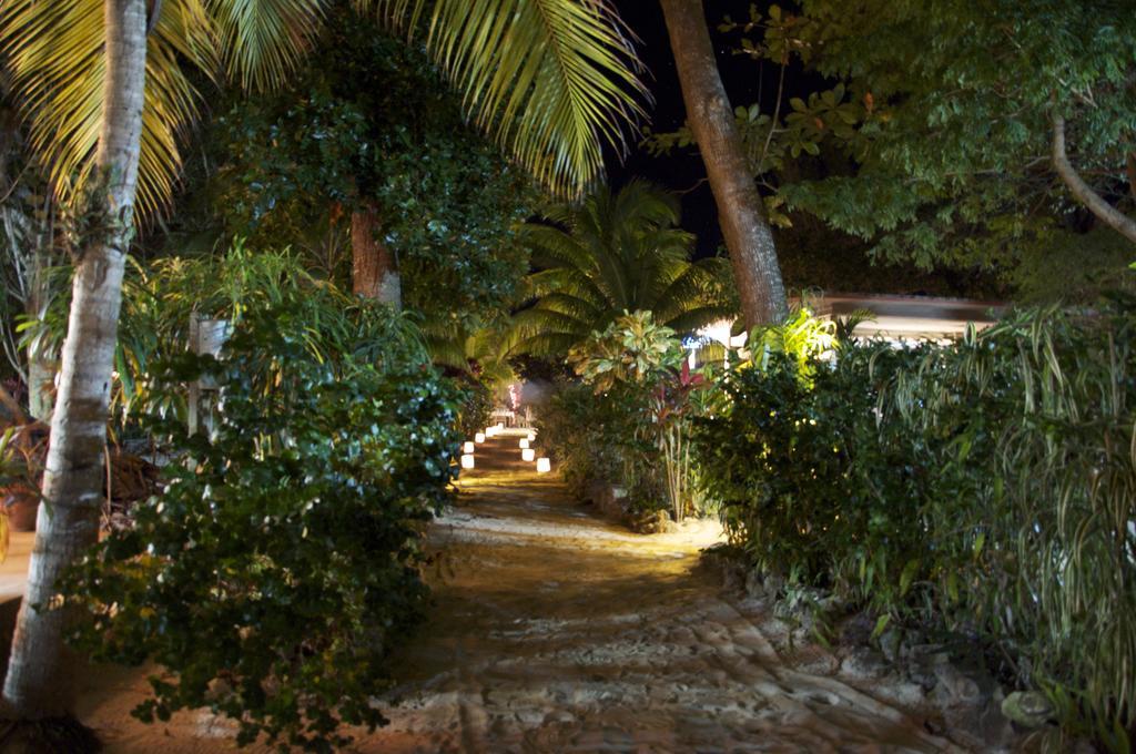 Whistling Bird Hotell Negril Exteriör bild
