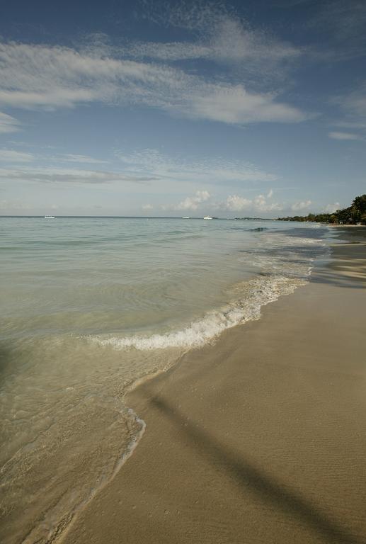 Whistling Bird Hotell Negril Exteriör bild